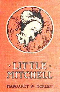 Little Mitchell: The Story of a Mountain Squirrel